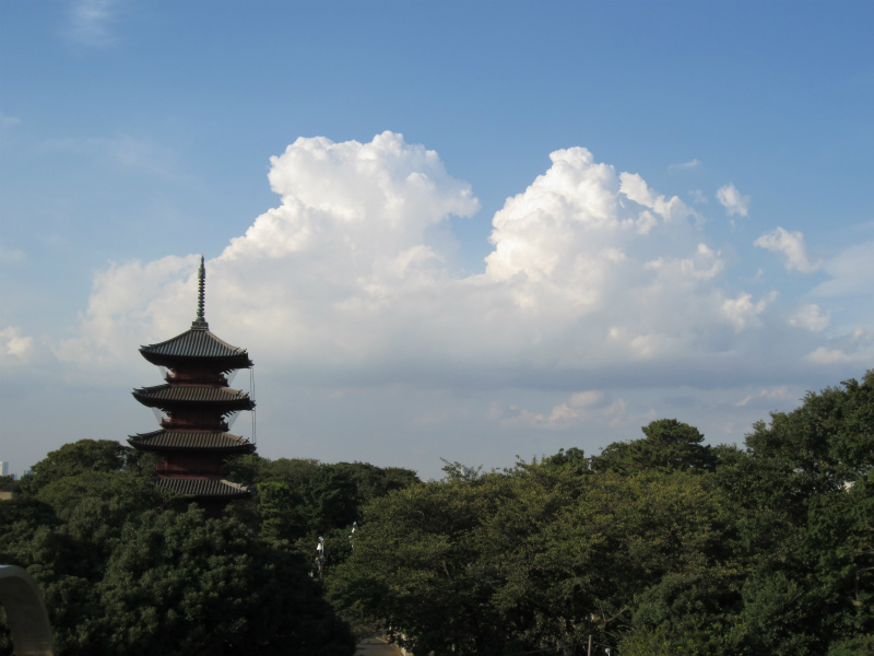 五重塔と夏の雲