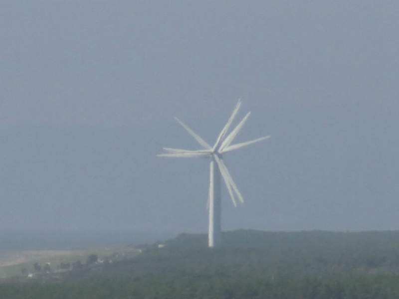 伊良湖の海岸に風力発電